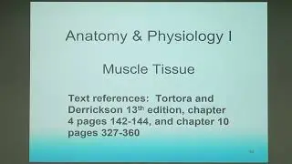 A&P 1 Joint & Skeletal Muscle 2.3