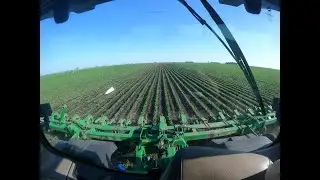 Using a Camera Guidance System Cultivating Organic Soybeans!