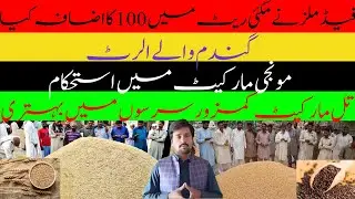 feed mills nay maki rate ma 100 ka izafa kr dia || today ghala mandi rate