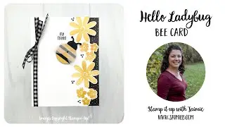 Stampin' Up! Hello Ladybug Bee Card Tutorial Video
