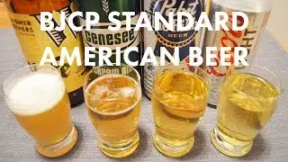 BJCP Category 1: Standard American Beers