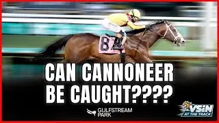 Holy Bull Stakes Preview: Can the Favorite Be Beaten?
