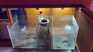 Nuevo SUMP parte 2