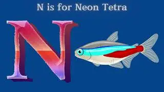 A to Z Fish Song | Learn Fish Names & Sounds | ABC Fun with PK