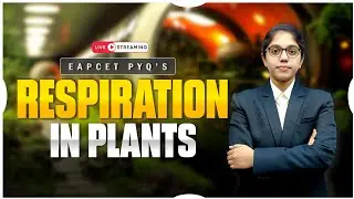 EAPCET Biology PYQs 🔥 | Respiration in Plants Explained