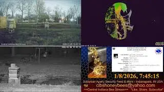 2026/1/7 Back Yard Cam - Weather - Bee Hives - Security Feed - Indianapolis, IN USA8