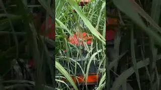 New Kubota 27 hp tractor#automobile #agriculture #tractor