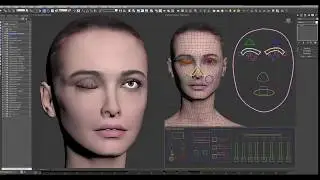 Fully Rigged 3DS Max Female Woman / Gril Human Character W Facial & Full Body Rigs Ready to Animate