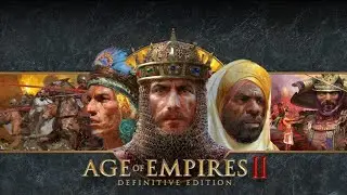 age of empires 2 with vikanug