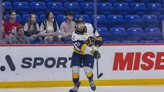 Kelly Cup Playoffs Game 6: Admirals vs Lions