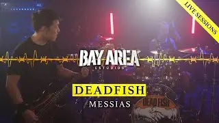 Dead Fish - Messias | Bay Area Estúdios