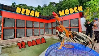 ✅️ BANGLO AYAM MODEN !! BEBAS BAU, AIR BUKIT DAN TENAGA SOLAR