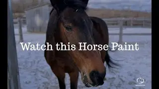 Watch a Horse Paint | Phoenix Creates 