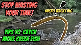 Having confidence you can catch hot summer fish in a creek you have never fished(Technique1)