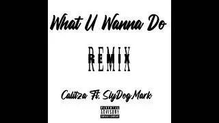 Calitza Ft. SlyDogMark - What U Wanna Do (Remix)
