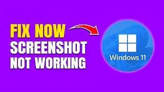 How to Fix Screenshot Not Working in Windows 11 (Quick Guide)