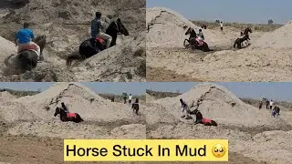 Horses Stuck In the Swamp | Horse Stuck in Mud | River Side Riding Vlog