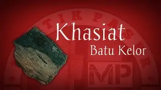 Khasiat Batu Cincin Kelor