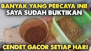 2 VOER REKOMENDASI AMAN DAN BAGUS UNTUK CENDET SEJAK DULU‼️