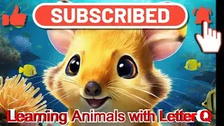 Learning Animals with letter Q