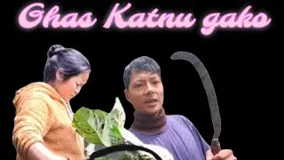 Ghas Katnu Gako Mo Chi Off Season ma☘️🍀🌿🌲