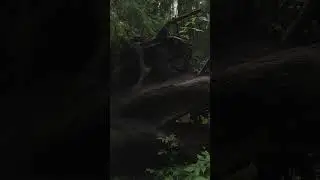 В поисках вдохновения 