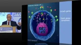 Chemotherapy, Targeted Therapy, and Immunotherapy