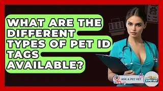 What Are The Different Types Of Pet ID Tags Available? - Ask A Pet Vet