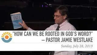 How Can We Be Rooted in God's Word?