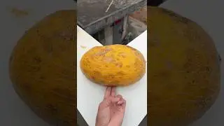 Experiment: Will cantaloupe and watermelon explode when rolled down from a tall building?#shorts