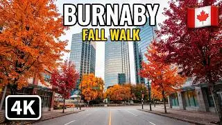 🇨🇦  [4K] 🍁 Fall Walking Around in Burnaby BC, Canada