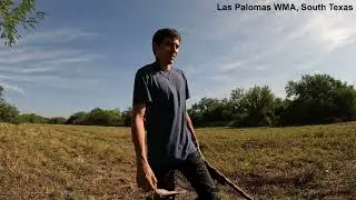 2024 STX Opening Day Dove Season