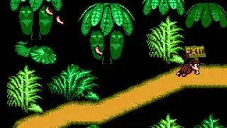 [TAS] NES Donkey Kong Country 4 by illayaya & crazyjesse in 12:56.27