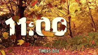 🍂 Autumn 11 Minute Silent Timer with Gentle Alarm for Teachers, Kids, and Classroom, Study, Focus ⏲️