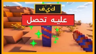 كيفية استخدام Springling كمصعد في MINECRAFT مع الأنواع