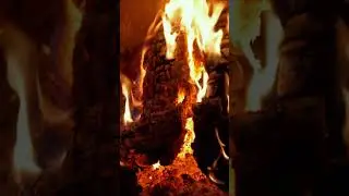 Burning Logs: The Calming Sound of Fire
