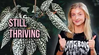 These Plants Are Thriving In Winter!