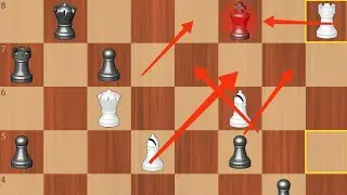 The Best Chess competition game #viral #game #viral video