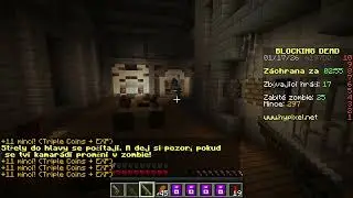 Hypixel - Blocking Dead - Full Screen #66