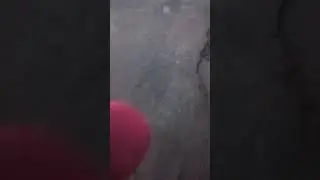 колонка awei тест на прочность и воду