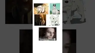 Just some cartoon dogs