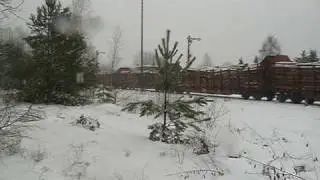 213 334 Steilstreckenlok der Rennsteigbahn mit einem langen Holzzug.