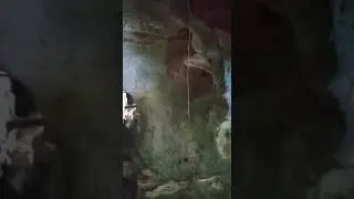 Shimoni Slave Caves: Caves in Kwale, Kenya Telling the dark and painful tale of Slavery in Africa