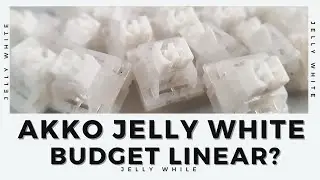 Akko Jelly White Review and Soundtest | Another budget linear? | Vega 65 | Keyboard Typing [ASMR]