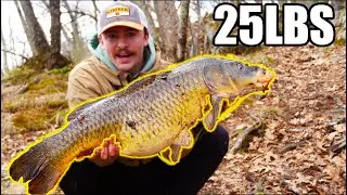 How I Caught the BIGGEST Freshwater Fish of My Life (25LB CARP)