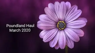 Poundland Haul March 2020