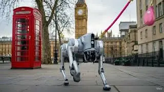 robot dog walking in london
