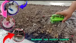 I washed a large, dirty, fluffy turkish rug,/asmr......