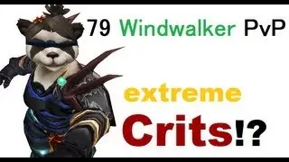 Asceticius - Level 79 Windwalker Monk Twink PvP - MoP Patch 5.1.0