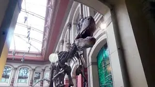 Берлинский Музей естествознания - Museum f&uuml;r Naturkunde.